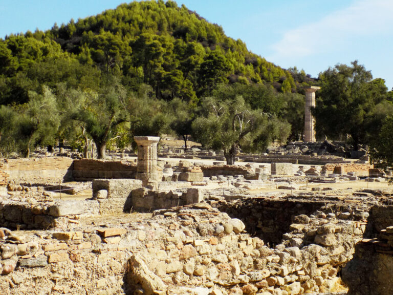 The Olive Temple » Olympia & Olive Tree